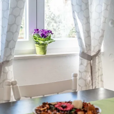 Apartman Seaview Toni *